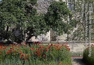 Cadolzburg bei Fürth (Nürnberg), Blick von Süden auf einen Teil der Hauptburg und Burggarten mit blühendem Mohn